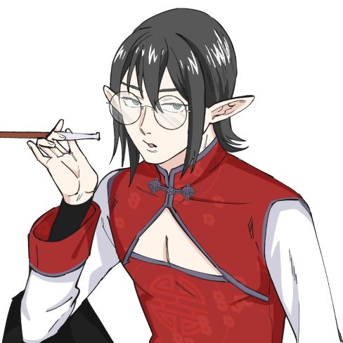 #横浜中華街のハーフエルフ