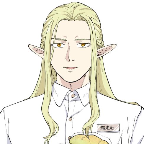 #海老名のエルフ